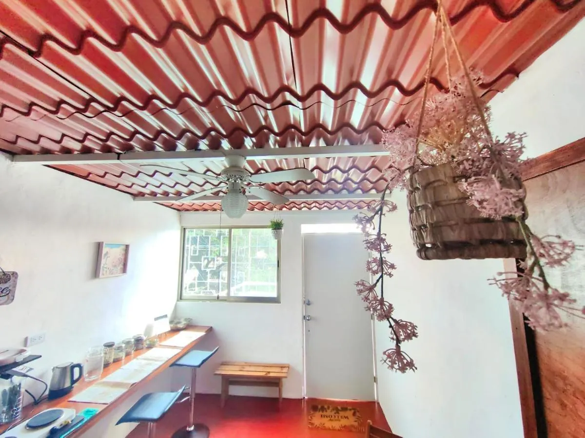 Casa Olivo, Tranquilidad Y Descanso. Mérida Mexico